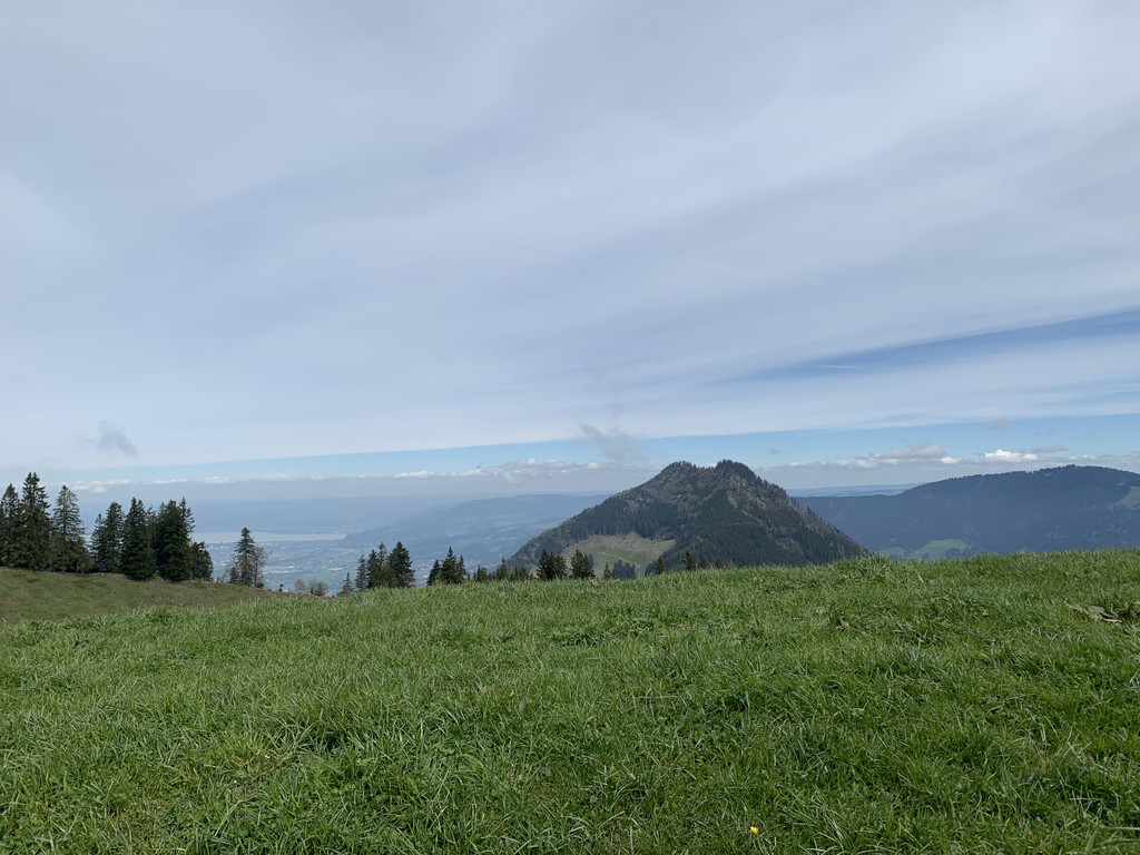 C607E149-2AF5-4153-8174-E7FBF0939D1F.jpeg