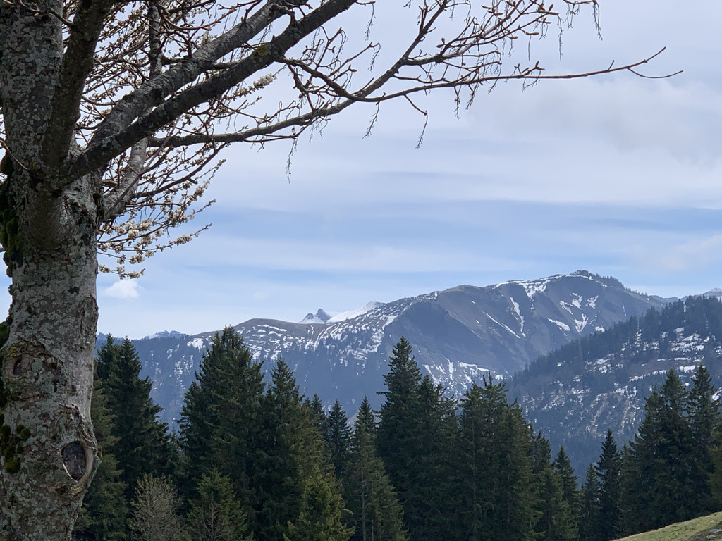 9300D889-1D0F-4B88-85E2-0E5CEDDAE5D2.jpeg
