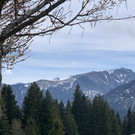 9300D889-1D0F-4B88-85E2-0E5CEDDAE5D2.jpeg