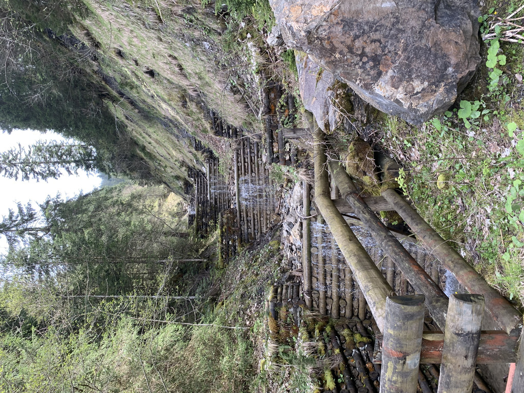 689B2D2F-BABD-410F-A721-30855D327321.jpeg