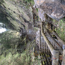 689B2D2F-BABD-410F-A721-30855D327321.jpeg