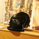 IMG_5528.JPG