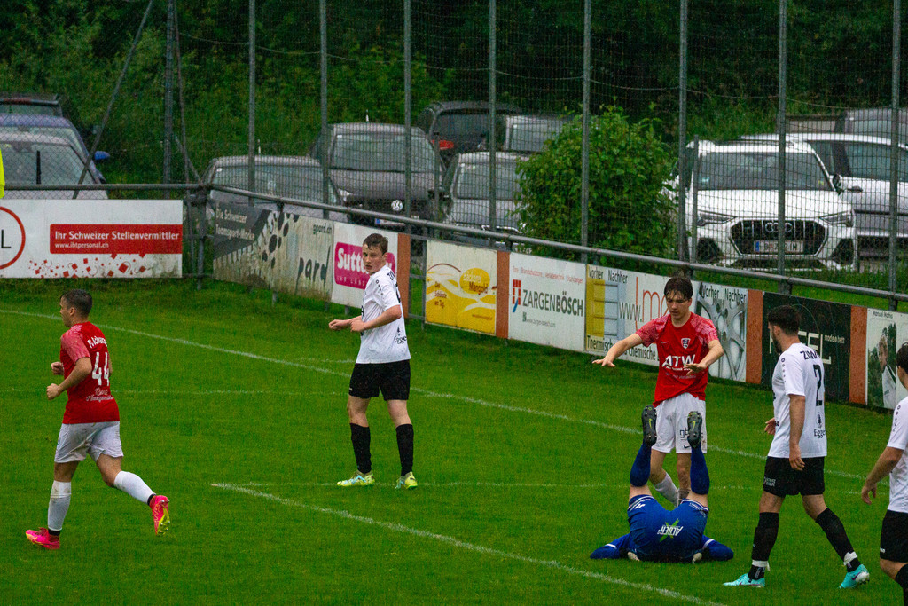 DSC01386.jpg