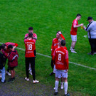 DSC02241.jpg
