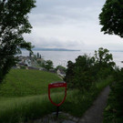 P1000654.jpg