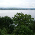 P1000657.jpg