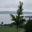 P1000668.jpg