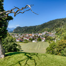 Geschichte, Genuss & besondere Plätze erleben 
