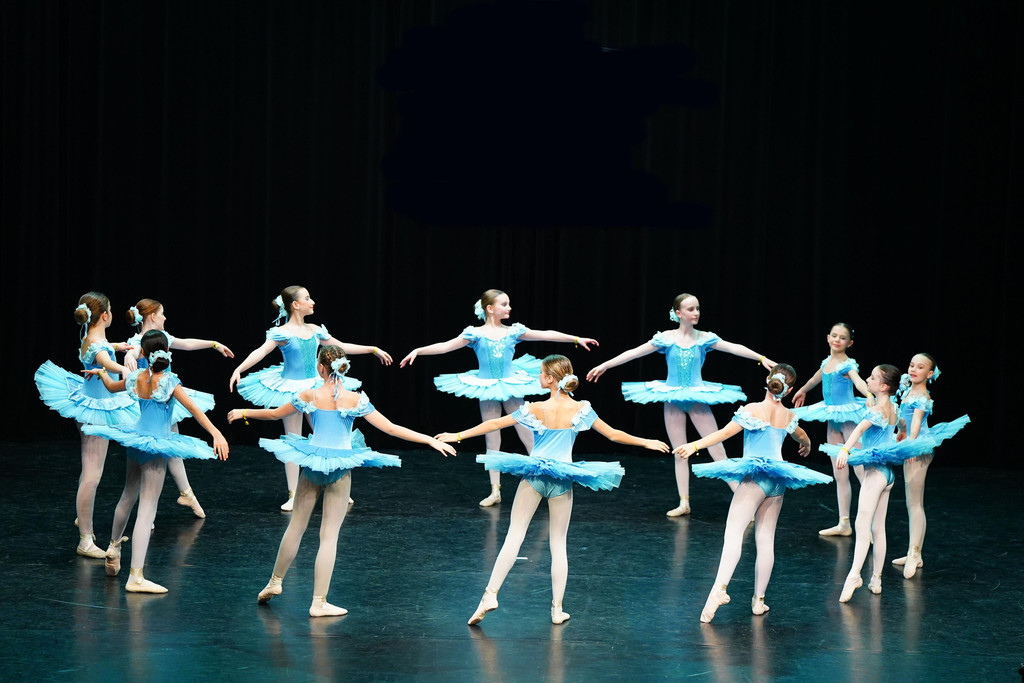 Dance Star Austria-54_bearbeitet.jpg