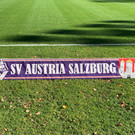 DSV 7.jpg