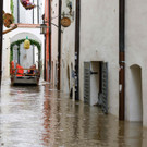 AFP_34UX82H.jpg