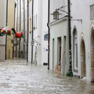 AFP_34UX82T.jpg