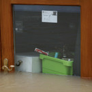 AFP_34UX84T.jpg