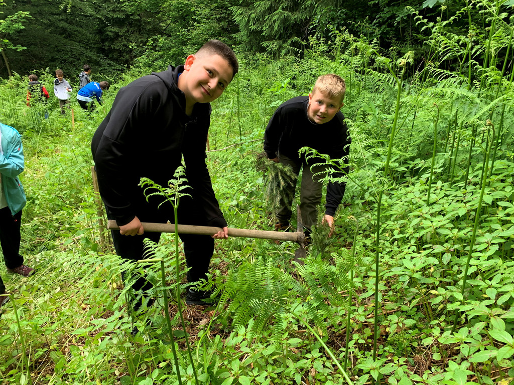 Volksschule EXKURSION A Waldpflanzung 27-05-2024 _4_.jpeg