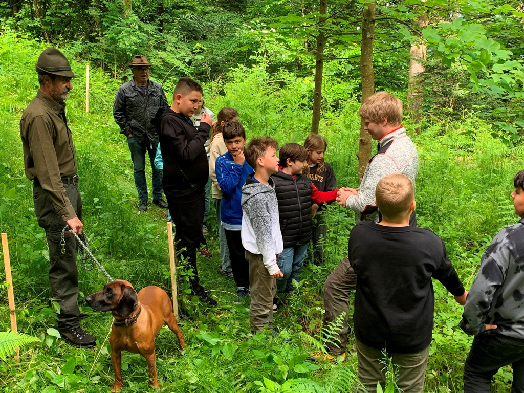 Volksschule EXKURSION A Waldpflanzung 27-05-2024 _8_.jpeg