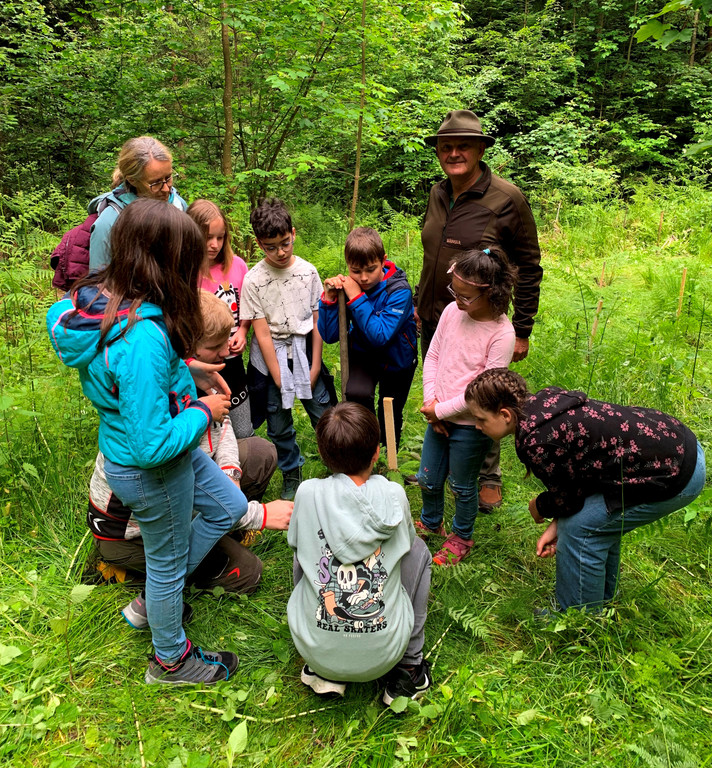 Volksschule EXKURSION A Waldpflanzung 27-05-2024 _9_.jpeg