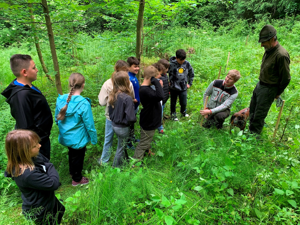 Volksschule EXKURSION A Waldpflanzung 27-05-2024 _7_.jpeg