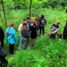 Volksschule EXKURSION A Waldpflanzung 27-05-2024 _7_.jpeg