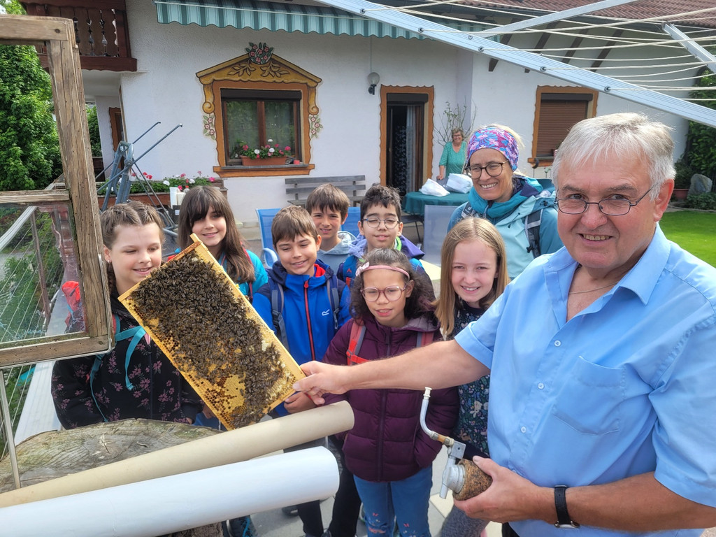 Volksschule EXKURSION B Bienenkunde 27-05-2024 _2_.jpg