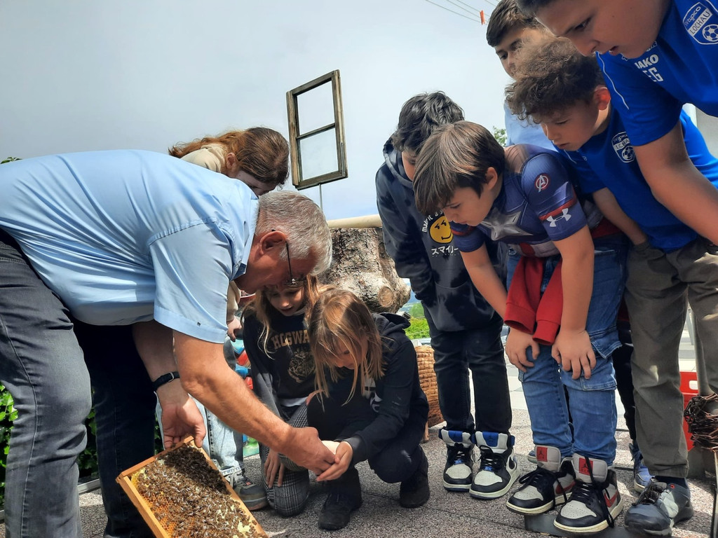Volksschule EXKURSION B Bienenkunde 27-05-2024 _3_.jpeg