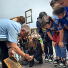 Volksschule EXKURSION B Bienenkunde 27-05-2024 _3_.jpeg