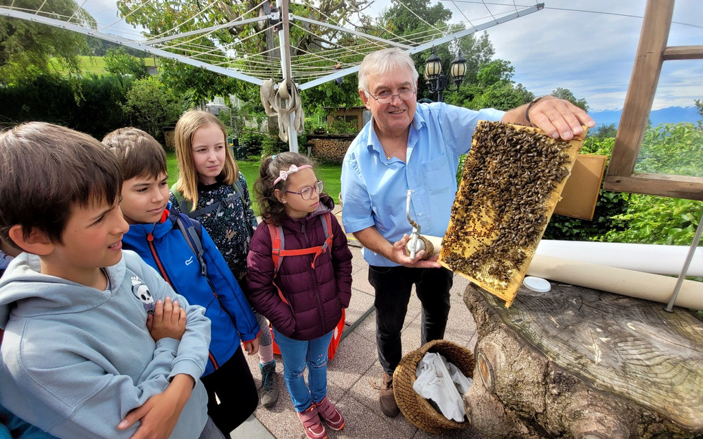 Volksschule EXKURSION B Bienenkunde 27-05-2024 _3_.jpg