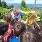 Volksschule EXKURSION B Bienenkunde 27-05-2024 _5_.jpg
