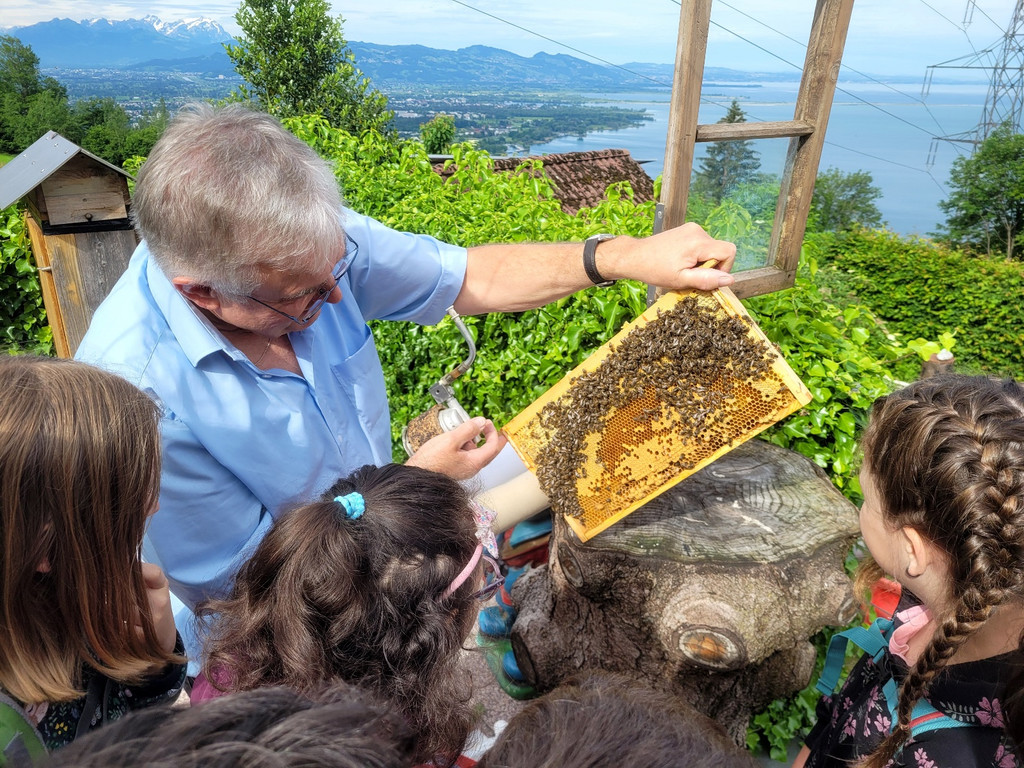 Volksschule EXKURSION B Bienenkunde 27-05-2024 _6_.jpg