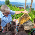 Volksschule EXKURSION B Bienenkunde 27-05-2024 _6_.jpg