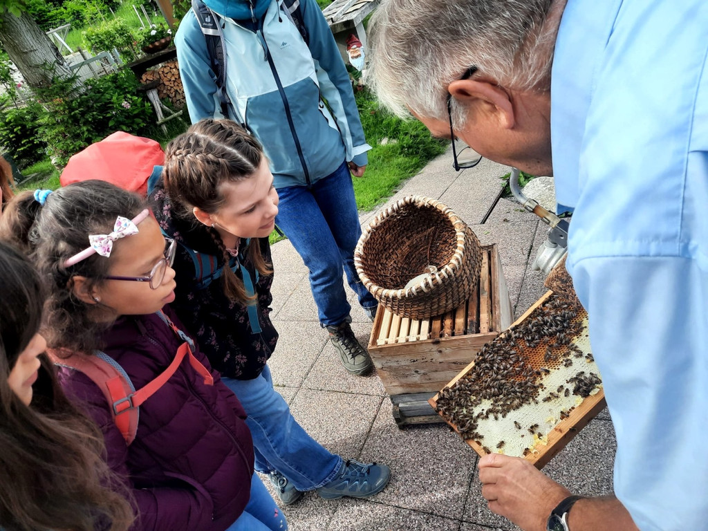 Volksschule EXKURSION B Bienenkunde 27-05-2024 _4_.jpeg