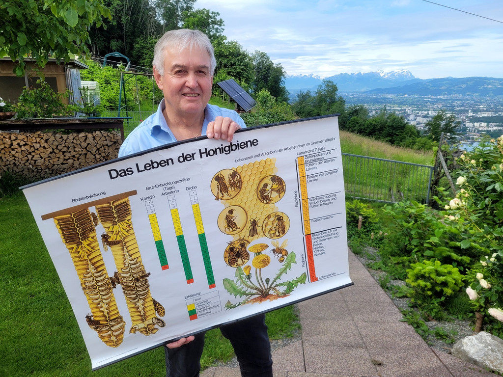 Volksschule EXKURSION B Bienenkunde 27-05-2024 _12_.jpg
