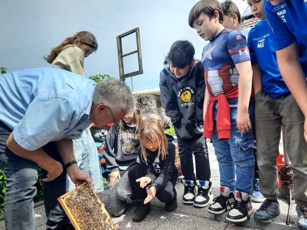 Volksschule EXKURSION B Bienenkunde 27-05-2024 _5_.jpeg