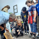 Volksschule EXKURSION B Bienenkunde 27-05-2024 _5_.jpeg