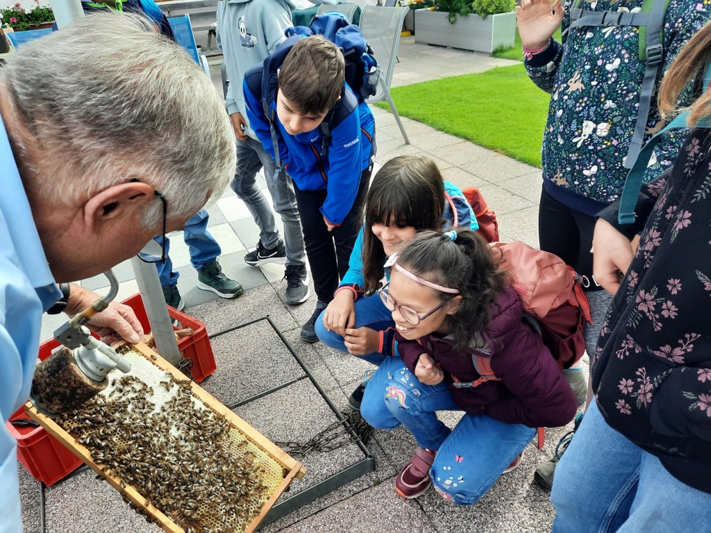 Volksschule EXKURSION B Bienenkunde 27-05-2024 _6_.jpeg
