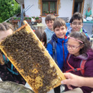 Volksschule EXKURSION B Bienenkunde 27-05-2024 _7_.jpg