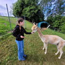 Volksschule EXKURSION C Alpakas 27-05-2024 _3_.jpg