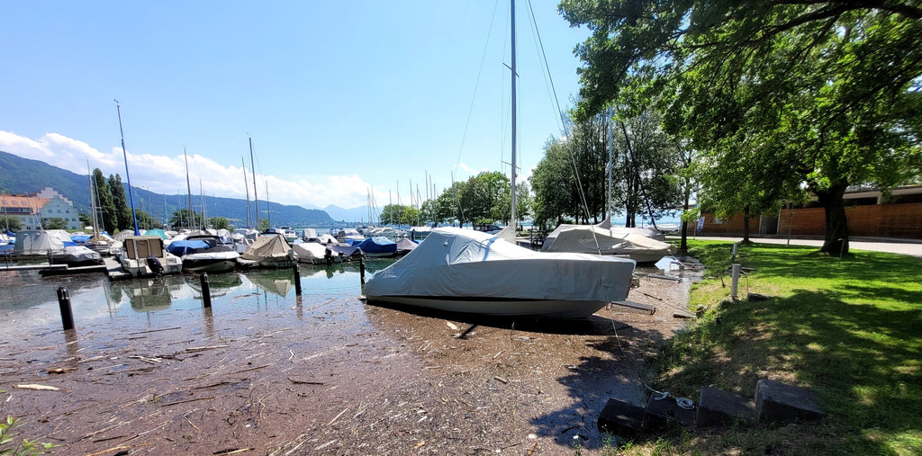 See HOCHSTAND VOL am 05-06-2024 _2_.jpg