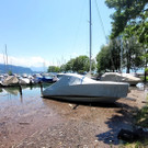 See HOCHSTAND VOL am 05-06-2024 _2_.jpg