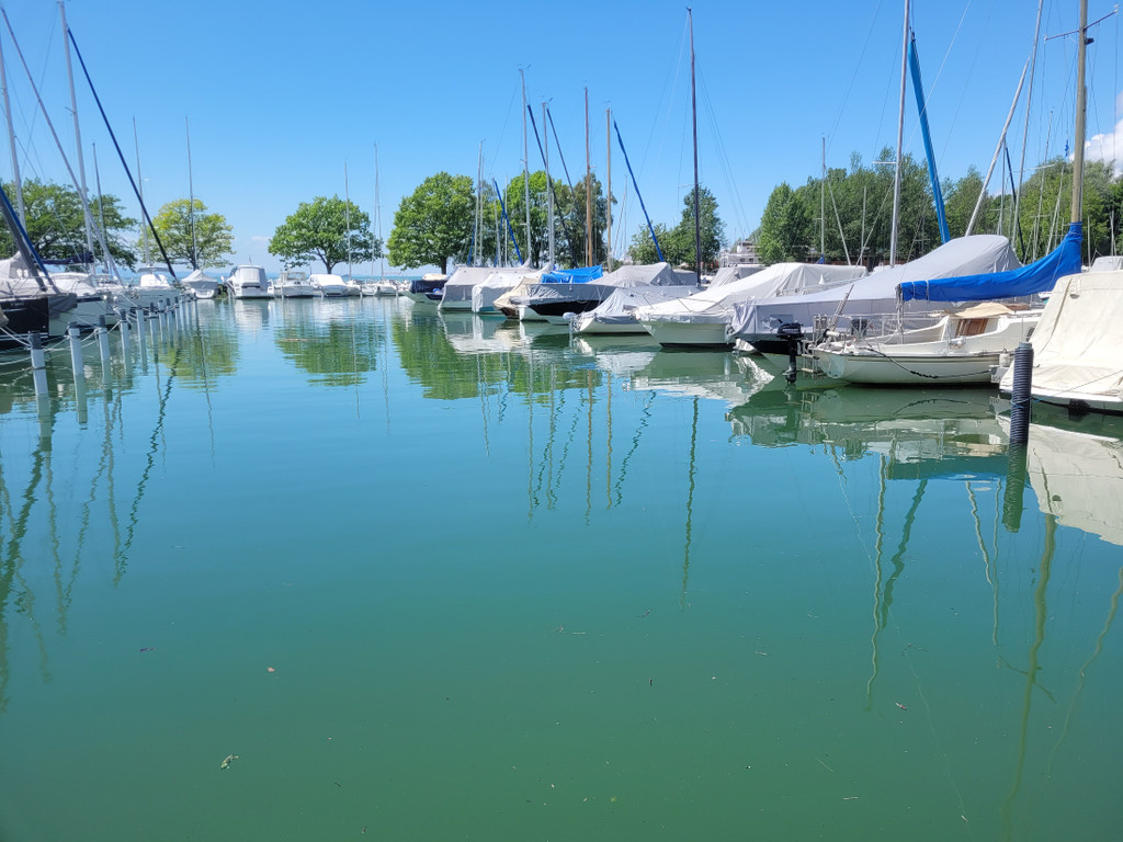 See HOCHSTAND VOL am 05-06-2024 _4_.jpg