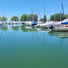 See HOCHSTAND VOL am 05-06-2024 _4_.jpg