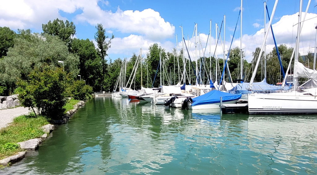 See HOCHSTAND VOL am 05-06-2024 _5_.jpg