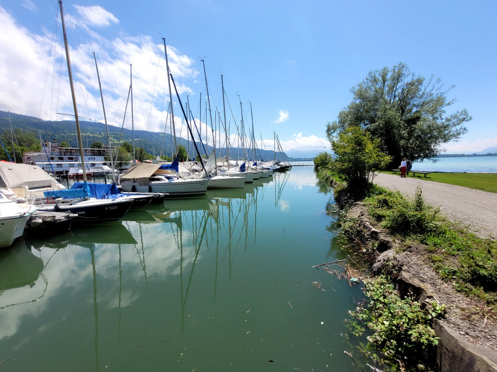 See HOCHSTAND VOL am 05-06-2024 _6_.jpg