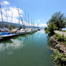 See HOCHSTAND VOL am 05-06-2024 _6_.jpg