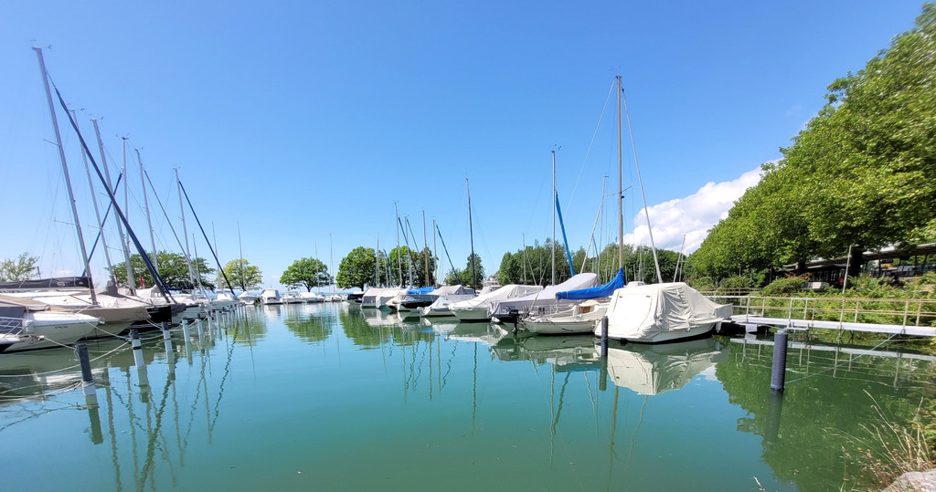 See HOCHSTAND VOL am 05-06-2024 _7_.jpg