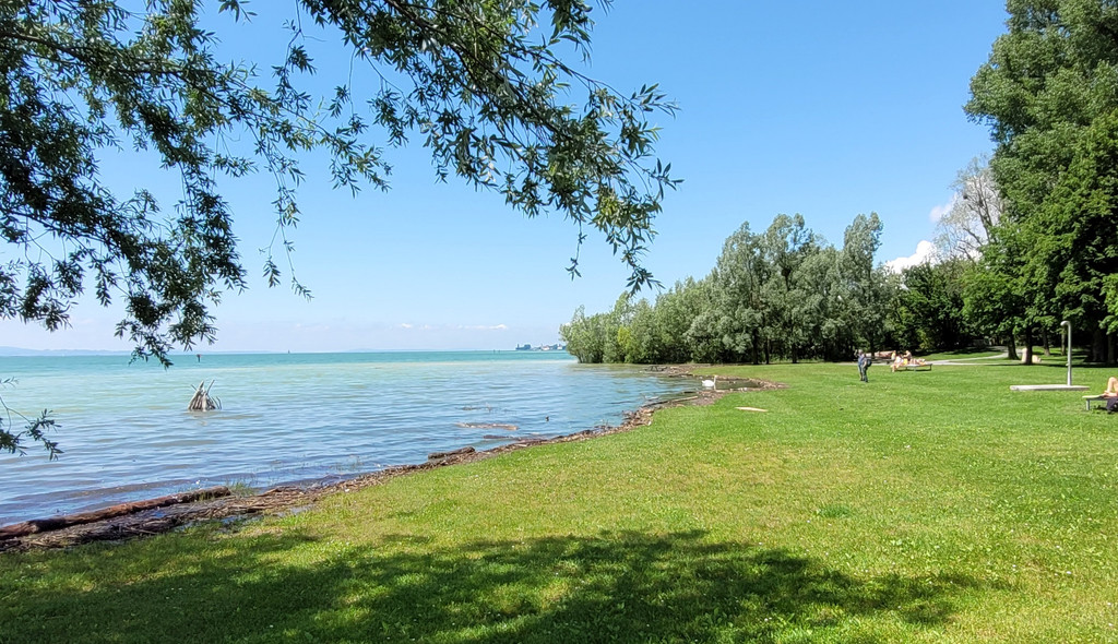 See HOCHSTAND VOL am 05-06-2024 _9_.jpg