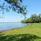 See HOCHSTAND VOL am 05-06-2024 _9_.jpg