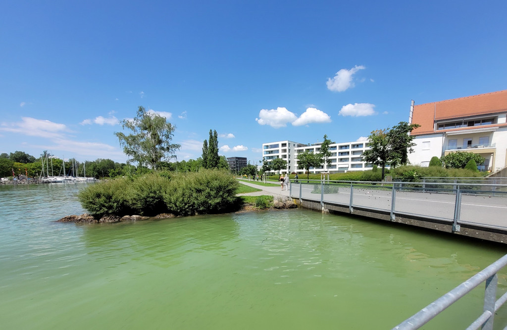 See HOCHSTAND VOL am 05-06-2024 _15_.jpg