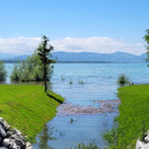 See HOCHSTAND VOL am 05-06-2024 _25_.jpg