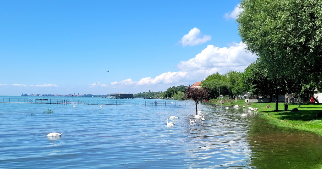 See HOCHSTAND VOL am 05-06-2024 _27_.jpg