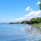 See HOCHSTAND VOL am 05-06-2024 _27_.jpg